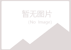 福建女孩能源有限公司